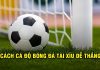Hé lộ cách cá độ bóng đá tài xỉu dễ thắng từ các cao thủ Hé lộ cách cá độ bóng đá tài xỉu dễ thắng từ các cao thủ