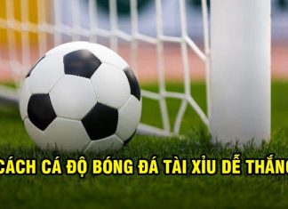 Hé lộ cách cá độ bóng đá tài xỉu dễ thắng từ các cao thủ Hé lộ cách cá độ bóng đá tài xỉu dễ thắng từ các cao thủ