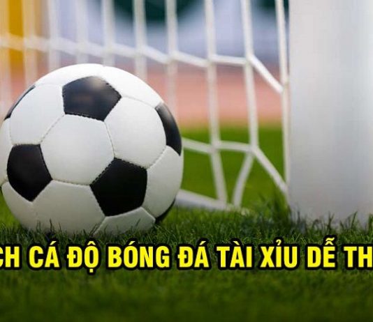 Hé lộ cách cá độ bóng đá tài xỉu dễ thắng từ các cao thủ Hé lộ cách cá độ bóng đá tài xỉu dễ thắng từ các cao thủ