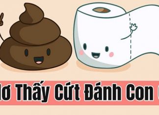 Mơ thấy cứt mang đến điềm báo gì và đánh số nào chuẩn nhất? Mơ thấy cứt đánh số nào?