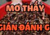 Mơ thấy gián mang đến điềm báo gì? Đánh con gì ăn chắc? mơ thấy gián đánh con gì