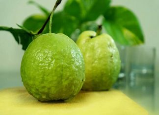 Điềm báo gì trong tương lai nếu mơ thấy quả ổi? Mơ thấy quả ổi