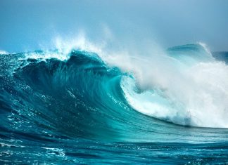 Mơ thấy sóng biển là điềm báo gì? Đánh con gì chuẩn nhất? Mơ thấy sóng biển đánh con gì?