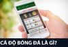 Cá độ bóng đá có tính hiệp 1 hiệp 2 không? Cược tài xỉu hiệp 1 hiệp 2