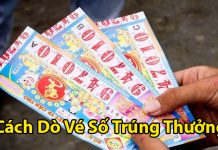 Chia sẻ về cách dò vé số trúng thưởng dễ hiểu nhất cách dò vé số trúng thưởng