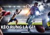 Cách cược kèo rung (running) đơn giản và hiệu quả nhất kèo rung là gì