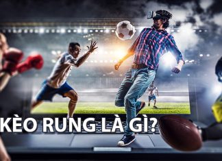 Cách cược kèo rung (running) đơn giản và hiệu quả nhất kèo rung là gì