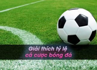 Giải thích tỷ lệ cá cược bóng đá chi tiết nhất hiện nay Giải thích tỷ lệ cá cược bóng đá kèo 1.75 trái