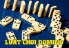 Luật chơi Domino cơ bản cho người mới bắt đầu (Bản chi tiết) Luật chơi Domino