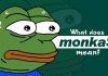 Monkas là gì? Giải thích ý nghĩa Pepe the Forg trên internet Monkas là gì?